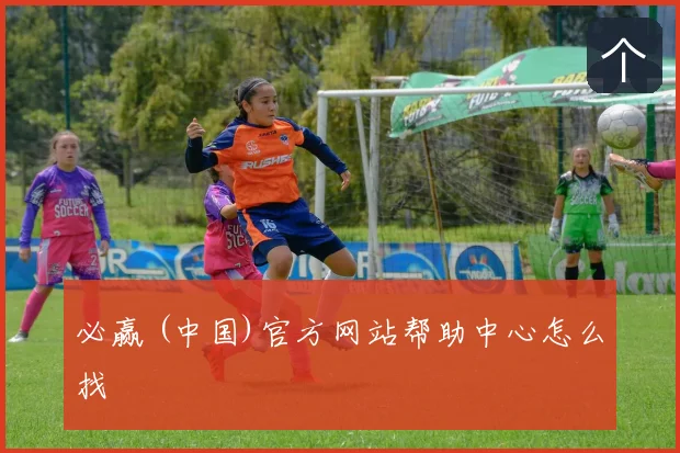 必赢 (中国)官方网站帮助中心怎么找
